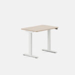 Duo Standing Desk - Image 99