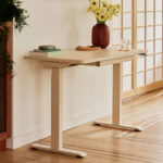 Duo Standing Desk - Image 46